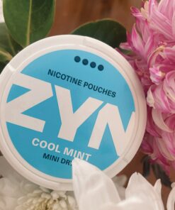 Alternative view of ZYN - Cool Mint Mini Dry - 6mg