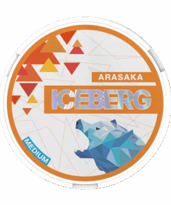 Iceberg Arasaka