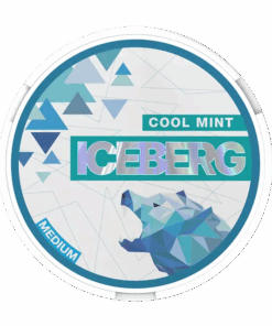 Iceberg Cool Mint Medium
