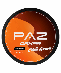 PAZ Racing Dakar