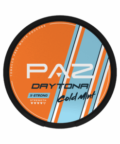 PAZ Racing Daytona