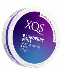 XQS Blueberry Mint Light